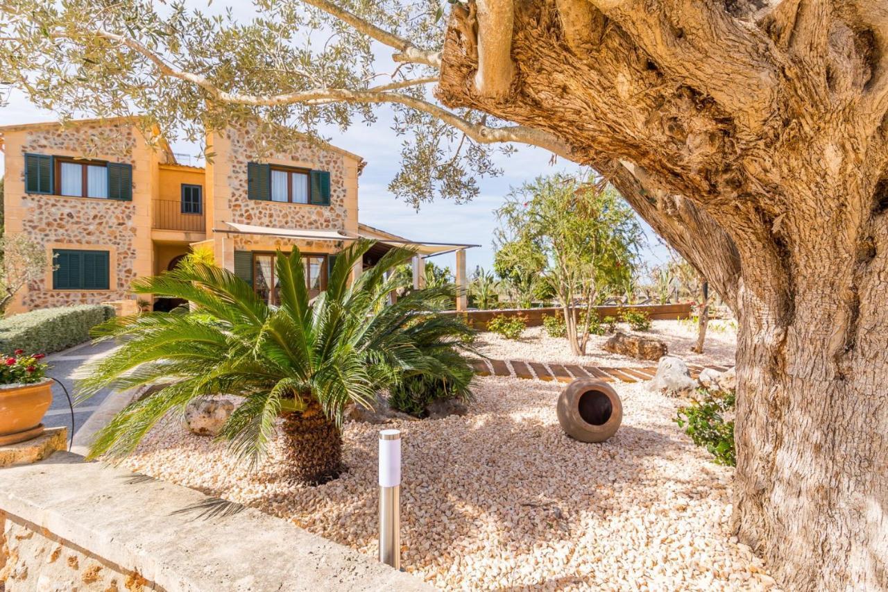 Alfabia Villa Инка Стая снимка